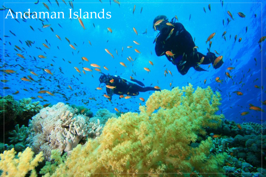 Andaman Islands Hotels Images