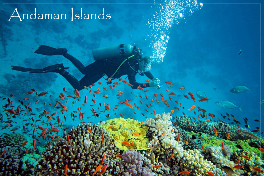 Andaman Islands Images for panjab