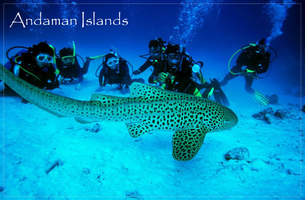 Andaman Islands Images gallery