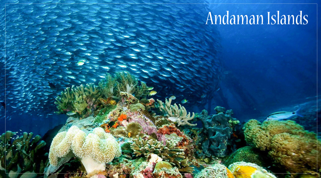 Andaman Islands Tourism packages