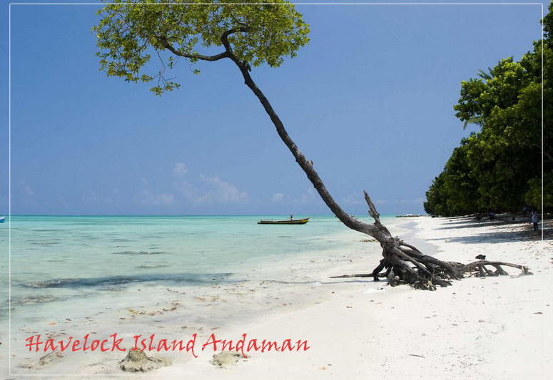 Havelock Island Andaman Hotels Images