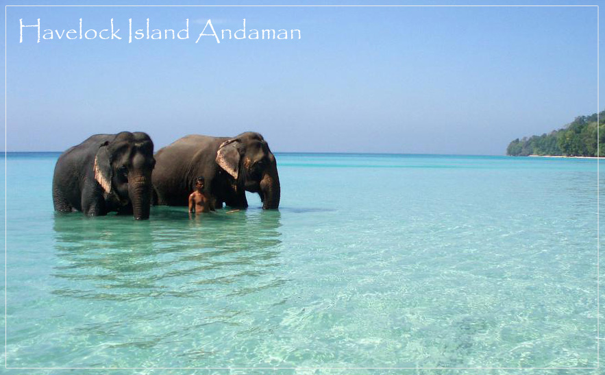 Havelock Island Andaman Images