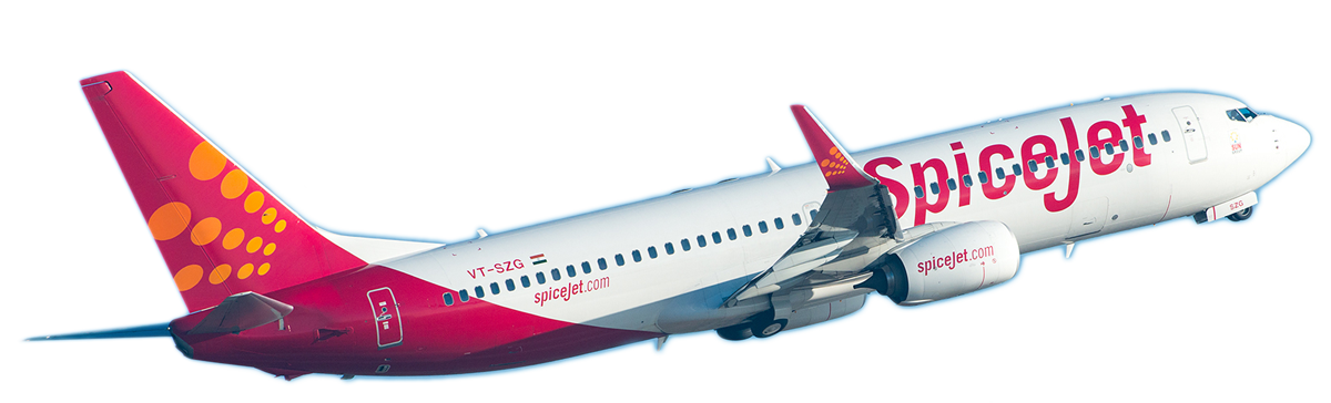 spicejet airlines png icon