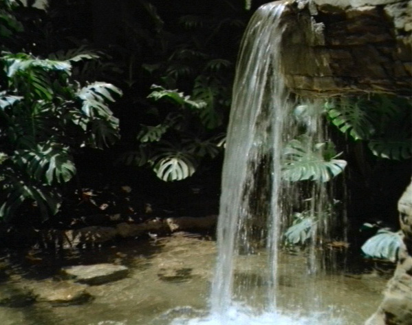 Waterfall Gallery